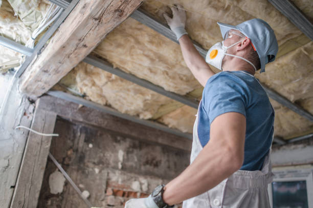 Best Insulation for Specific Applications in Salix, PA