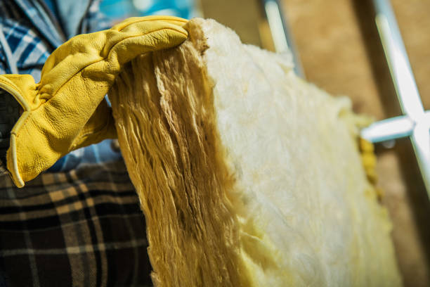 Best Residential Insulation in Salix, PA