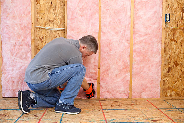 Best Insulation Installation Services in Salix, PA